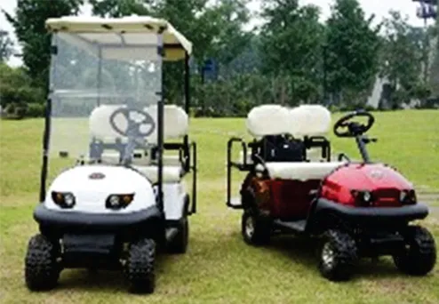 Golf Cars and Electric Vehicles