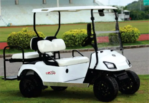 Golf Cars and Electric Vehicles